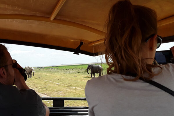 self drive kenya safari experience