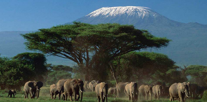 Amboseli National Park