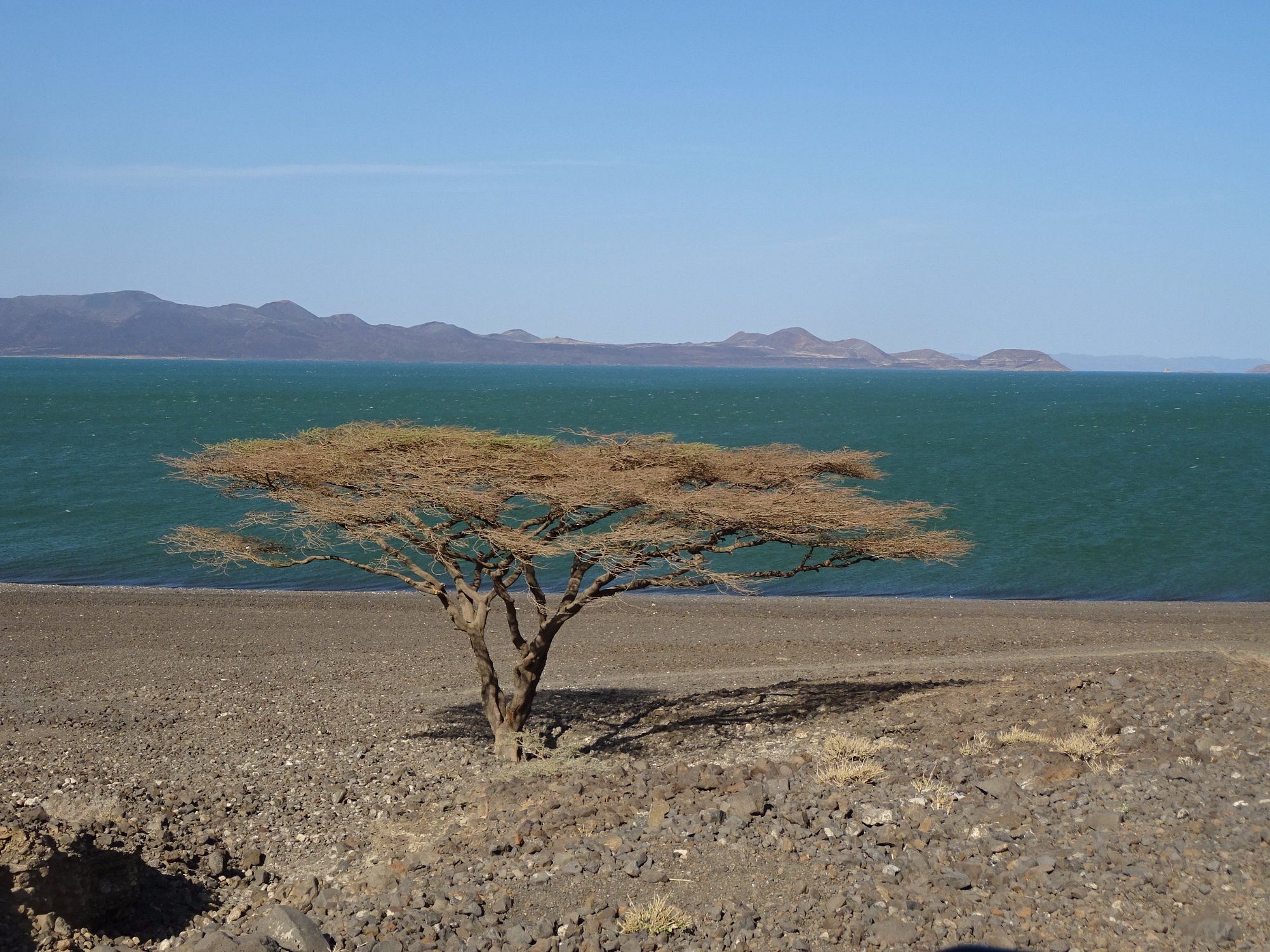 What Makes Turkana an Attractive Destination for a Self-Drive Safari?